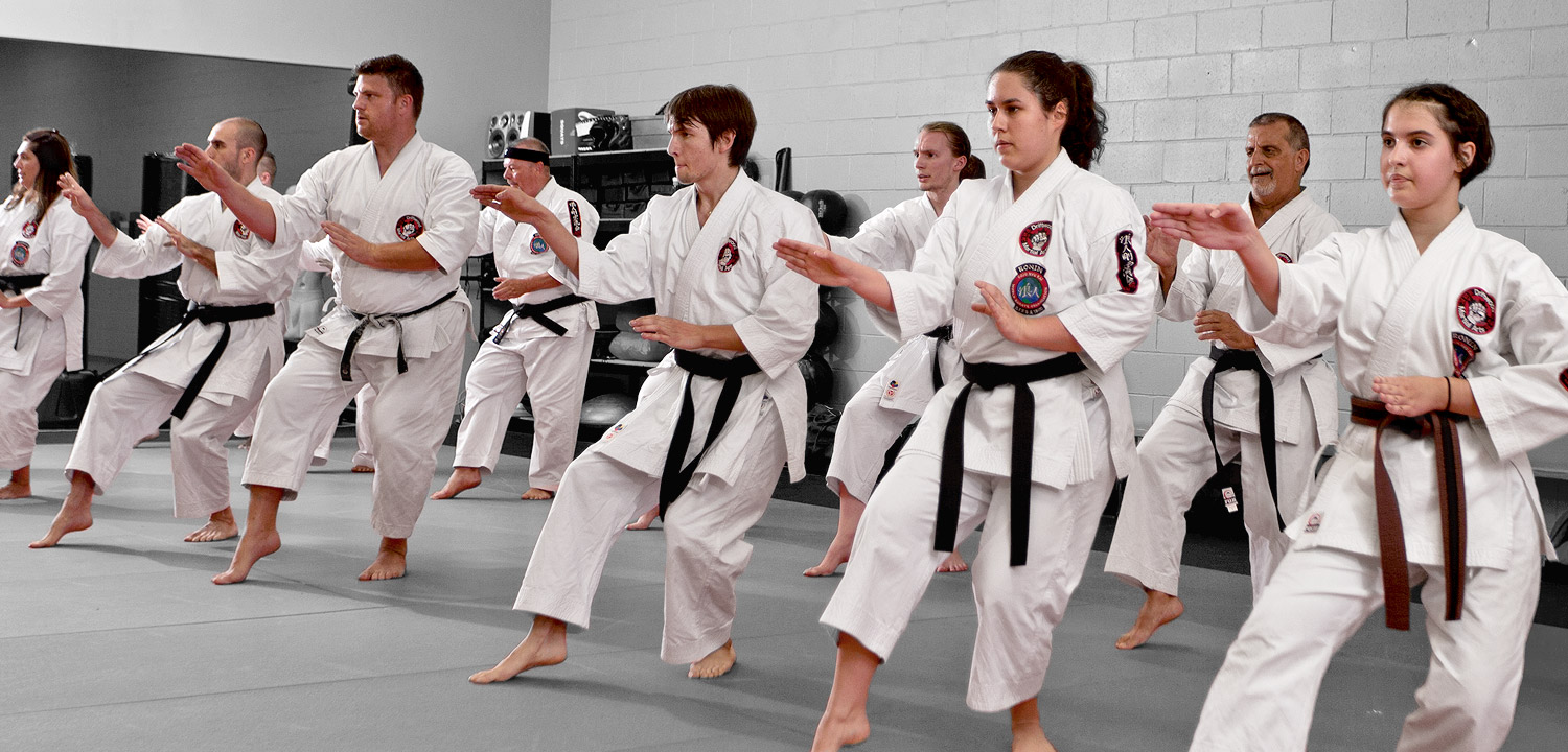 Driftwood Martial Arts Kitchener Waterloo s Premiere Karate Studio